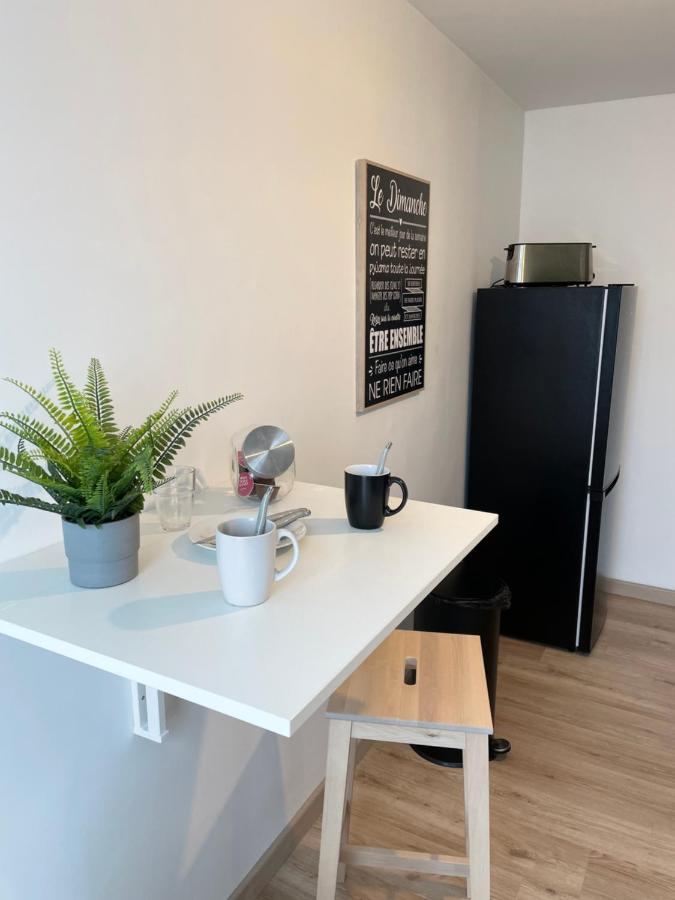 Appartement Du Grand Parc Châteauroux Εξωτερικό φωτογραφία